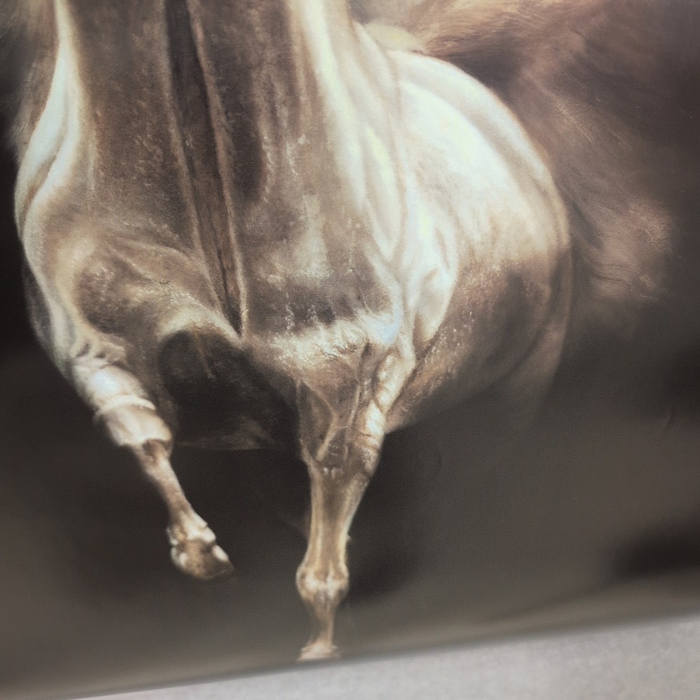 Sonia Torres Arabian Right Horse Artist's Print Torres Signed Numbered Limit Ed‎ - Picture 3 of 7